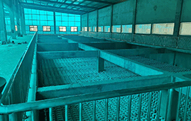 養(yǎng)殖廢水處理